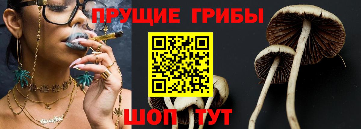 Арсеньев  Галлюциногенные грибы Cubensis  Вход с VPN 